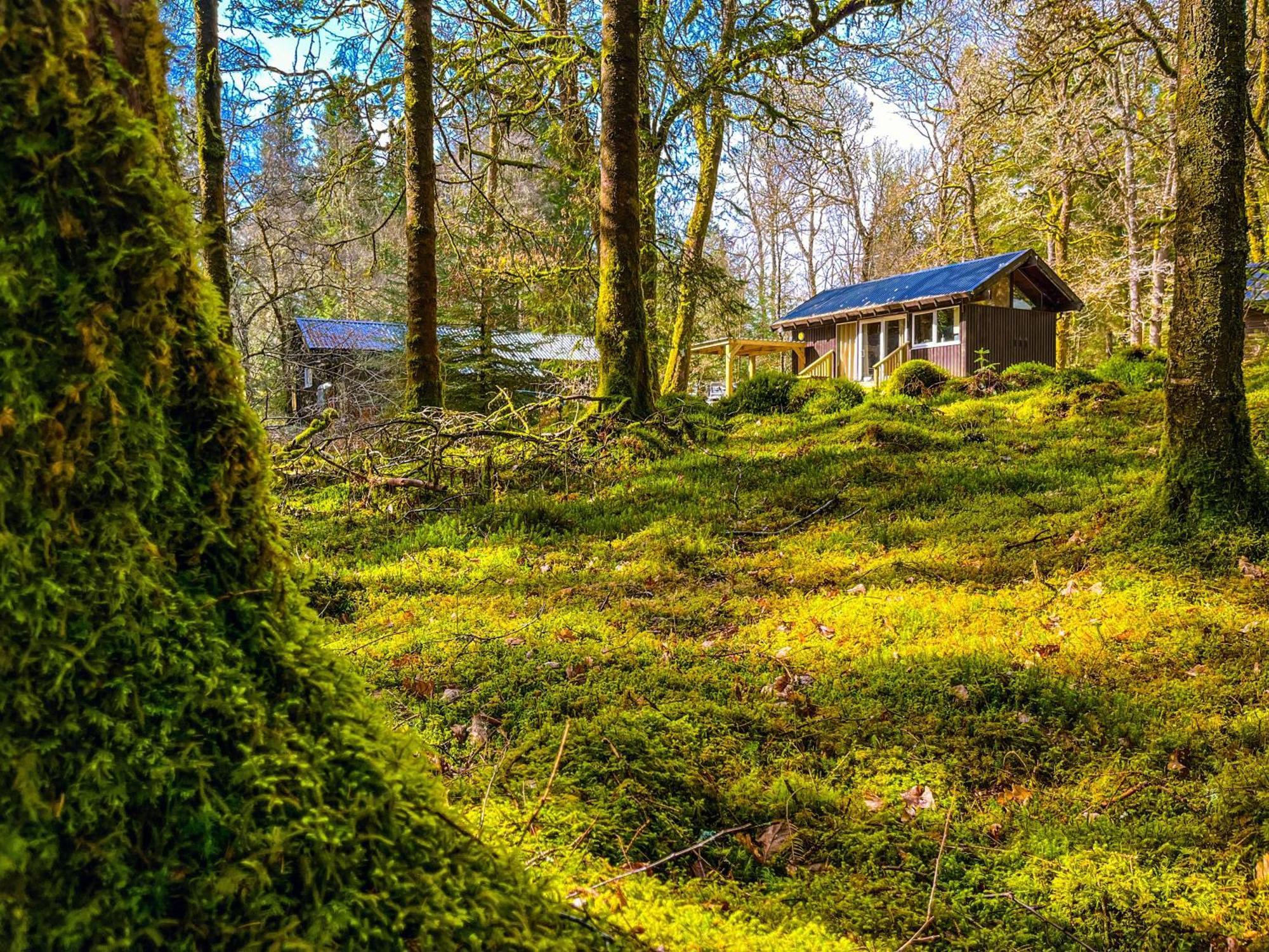 Loch Aweside Forest Cabins Dalavich Pokój zdjęcie